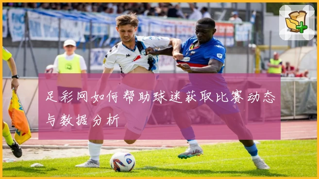 足彩网如何帮助球迷获取比赛动态与数据分析