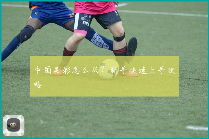 中国足彩怎么买？新手快速上手攻略
