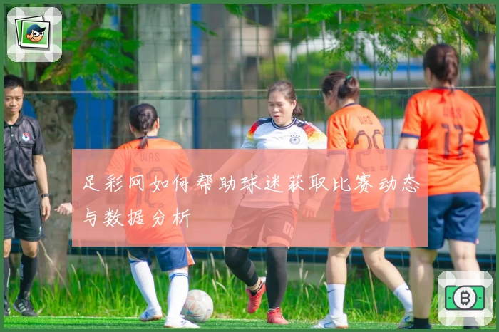 足彩网如何帮助球迷获取比赛动态与数据分析