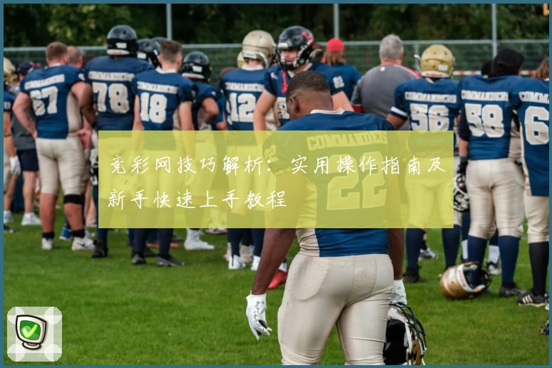竞彩网技巧解析：实用操作指南及新手快速上手教程
