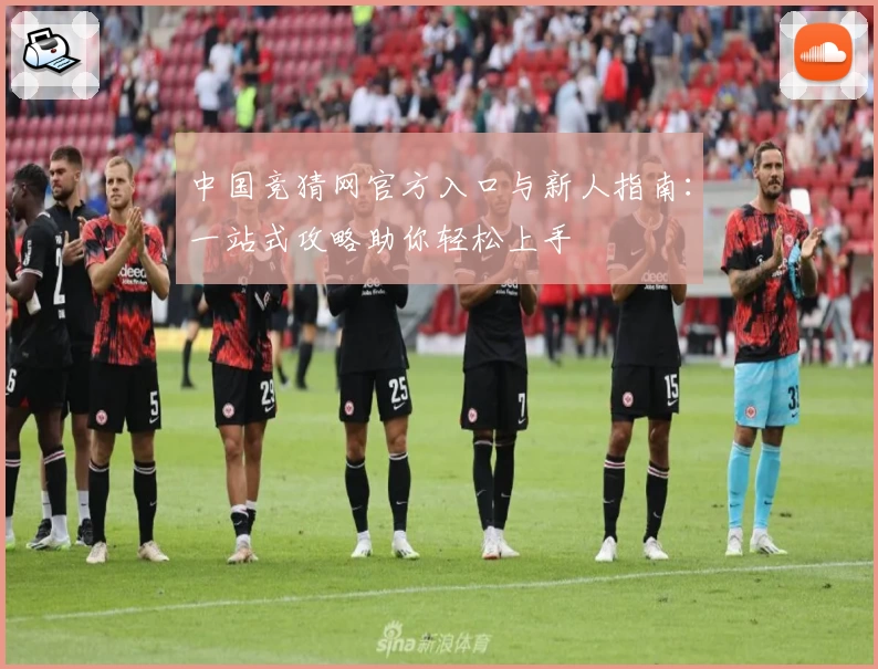 中国竞猜网官方入口与新人指南：一站式攻略助你轻松上手